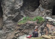 Bahaya PETI: Kerusakan Ekosistem Hutan hingga Pencemaran Laut