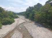 PETI di Poboya: Ancaman Serius bagi Ekosistem dan Sumber Air Kota Palu