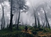 Pendaki Hilang di Gunung Gawalise, Pencarian Ditingkatkan