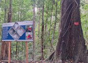 PT.HM : Antara Kepatuhan Regulasi dan Konflik Penggunaan Lahan Warga