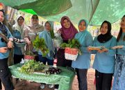 Kebun Toga Dasawisma Talise, Bukti Sukses Pendampingan CPM