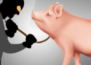 Warga Jonoge Laporkan Pencurian Babi ke Polres Sigi, Rugi Rp8 Juta