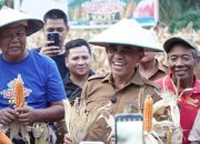 Gubernur Anwar Hafid Hadiri Panen Raya Jagung Sigi: Pertanian Prioritas Pembangunan