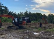 Dua Penambang Emas Ilegal Ditangkap Polisi di Parigi Moutong, Satu Excavator Disita