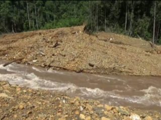Jejak PETI yang Tak Pernah Padam: Dari Gio Barat Bergeser ke Taopa Utara