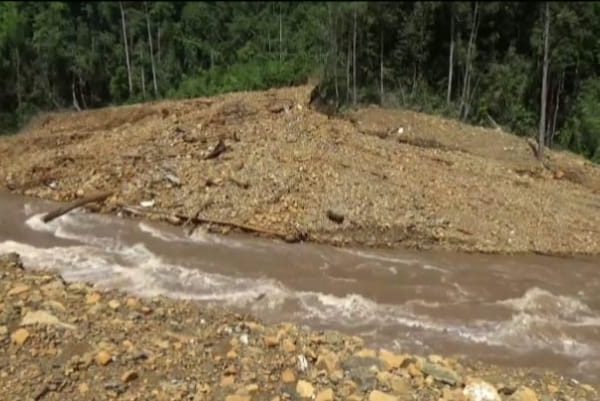 Jejak PETI yang Tak Pernah Padam: Dari Gio Barat Bergeser ke Taopa Utara