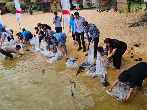 Restocking 5.000 Sidat di Danau Poso, Fondasi Baru Ekonomi Berkelanjutan di Sulawesi Tengah